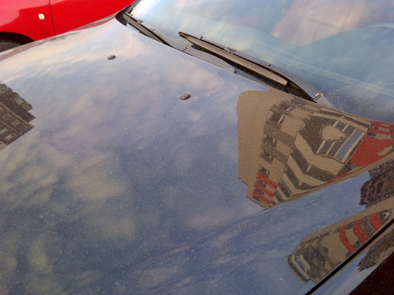 IMG-20130308-01099.jpg