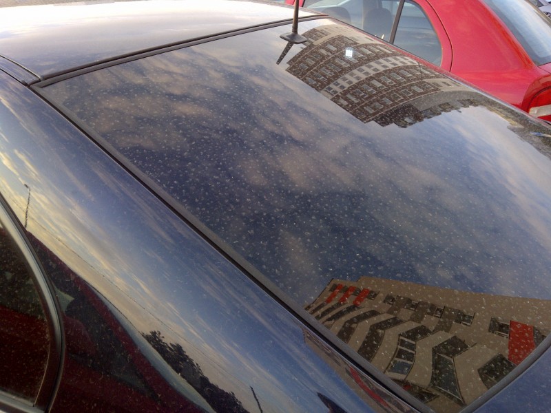 IMG-20130308-01098.jpg