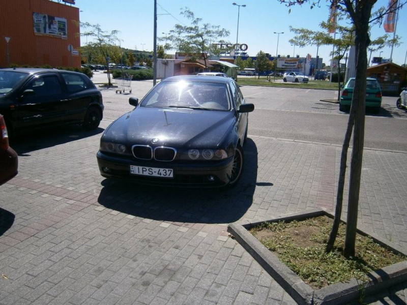 422219_430049080370655_810212844_n.jpg