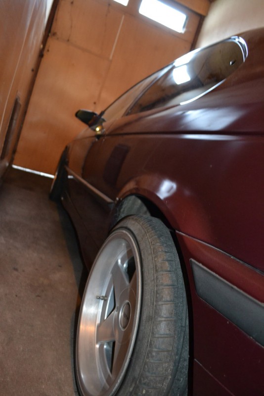 DSC_1233.jpg