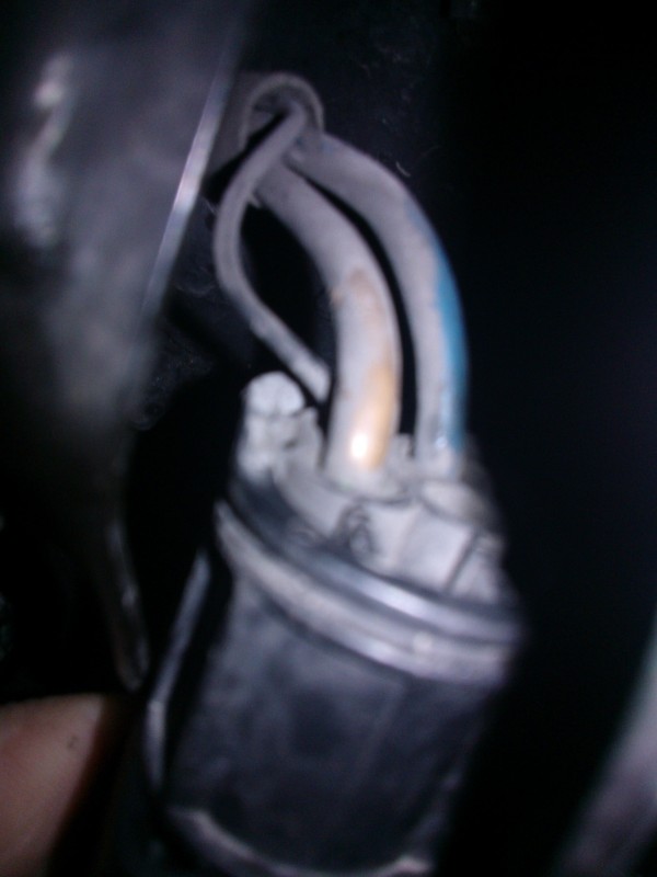 WP_000037.jpg