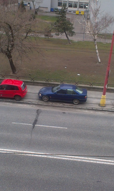 IMAG0029.jpg