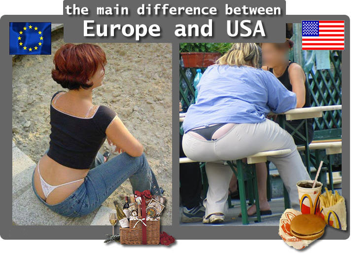 obr1.jpg