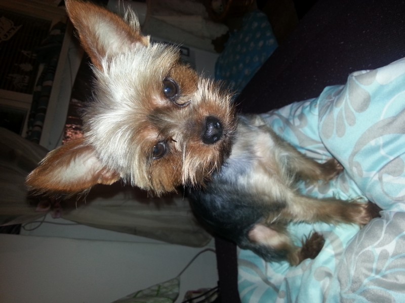 20130327_185606.jpg