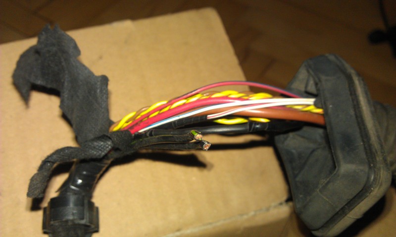 IMAG0309.jpg