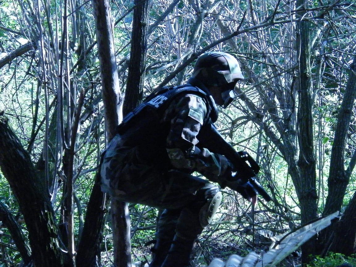 Sn&#65533;mek 311.JPG