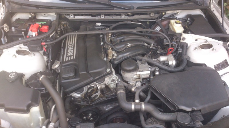 DSC_0349.jpg (2 MiB) 2263 zobrazení DSC_0349.jpg