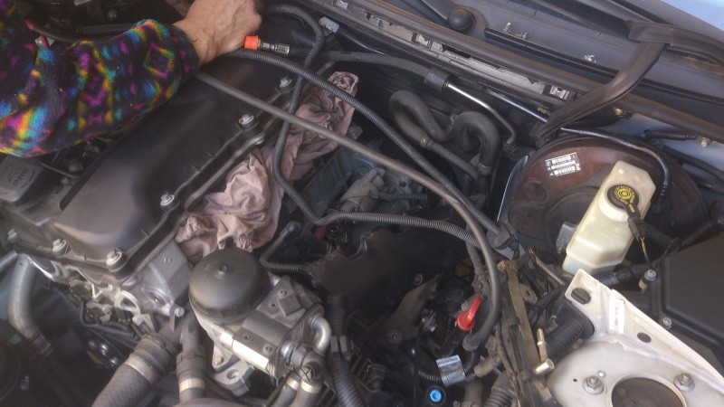 DSC_0350.jpg (2.05 MiB) 2294 zobrazení DSC_0350.jpg