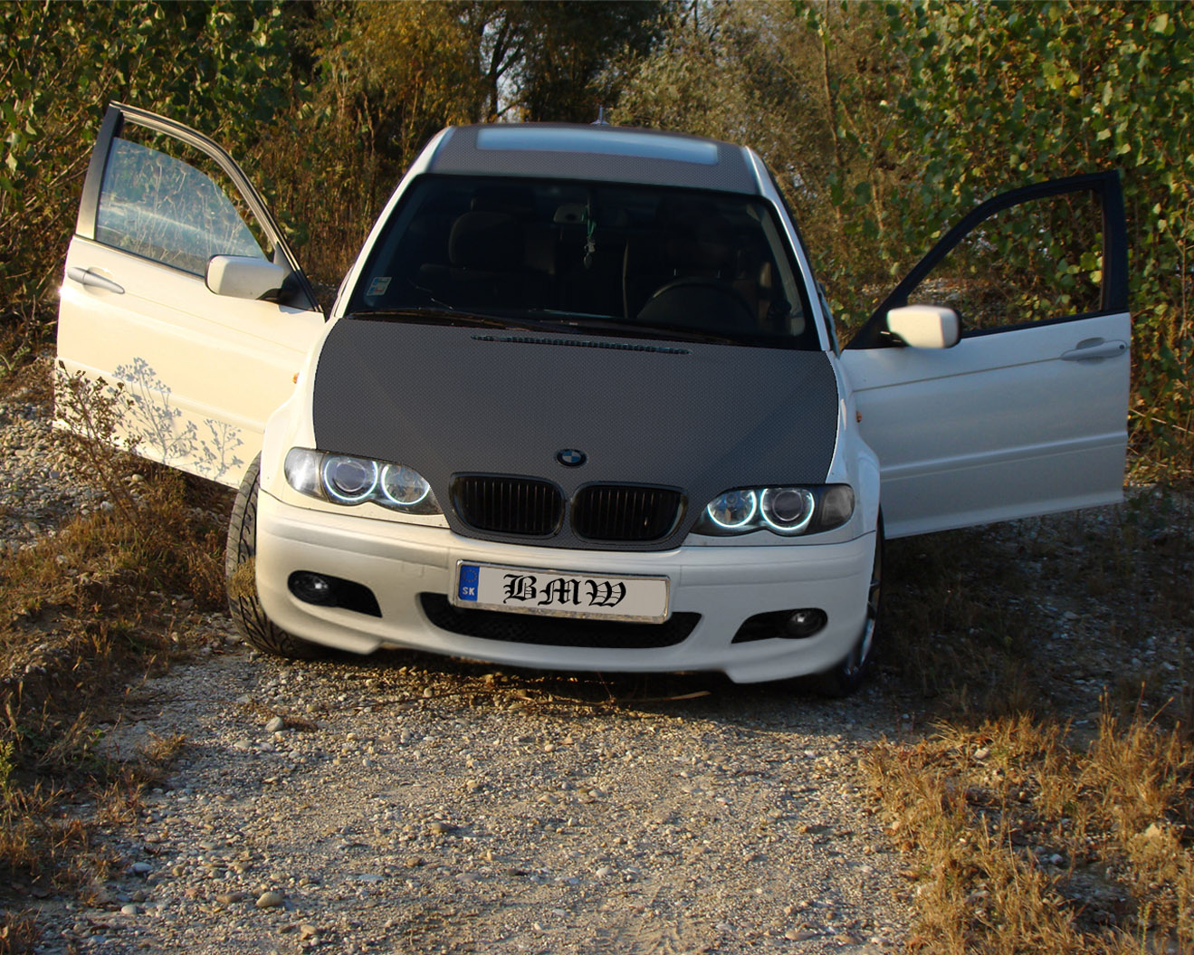 Bmw3 carbon1.jpg