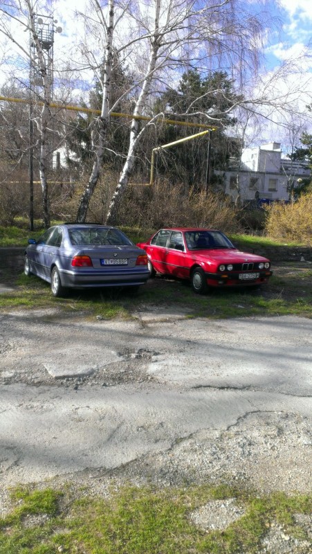 IMAG0799.jpg