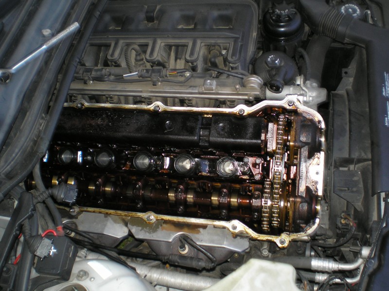 P1010003.JPG