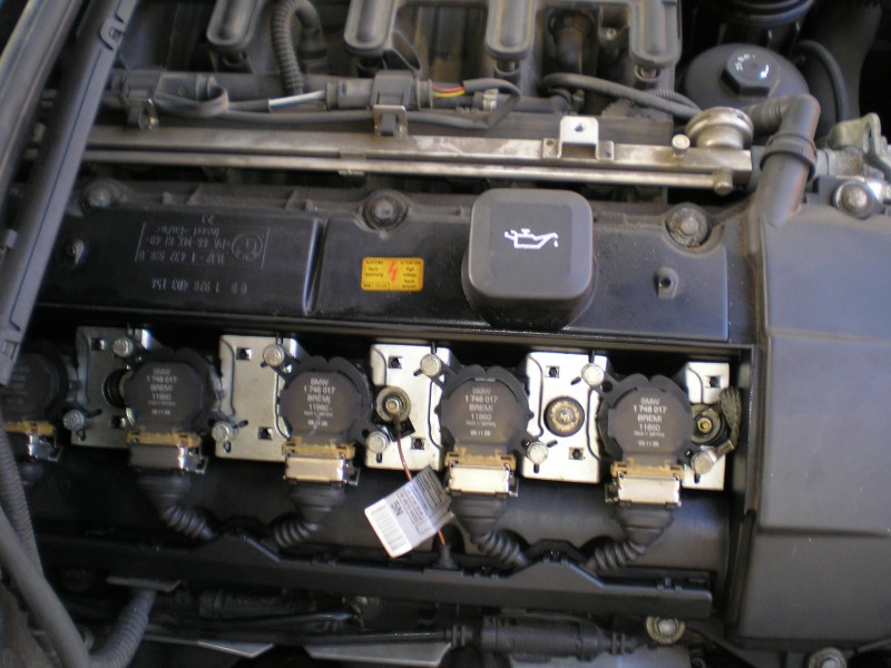 P1010002.JPG