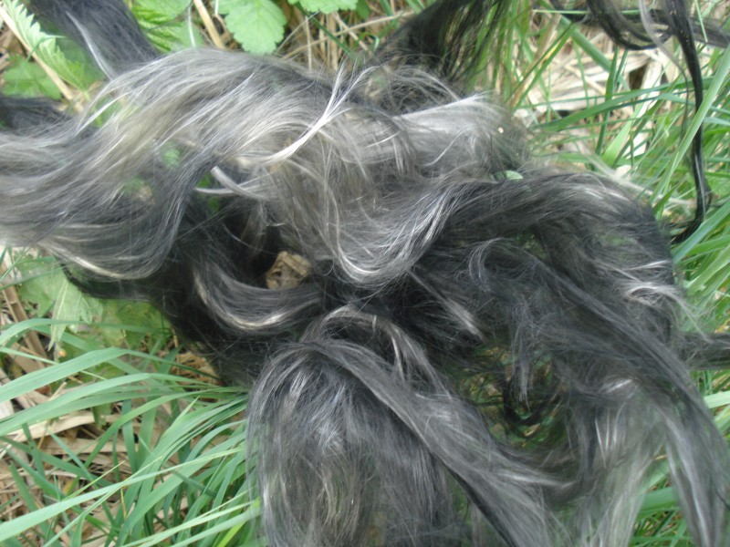 DSC03247.JPG