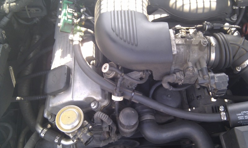 IMAG0019.jpg