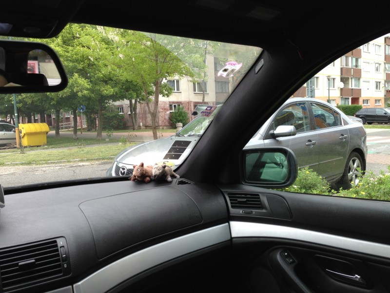 2013-05-12 13.46.21.jpg
