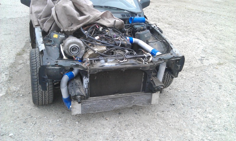IMAG0203.jpg