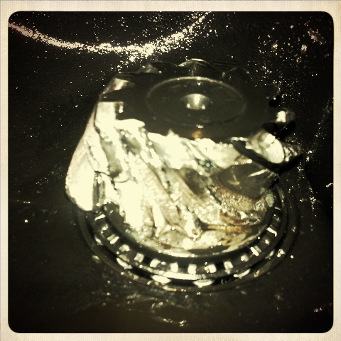InstaCam_2013-04-18_04-00-48-.jpg