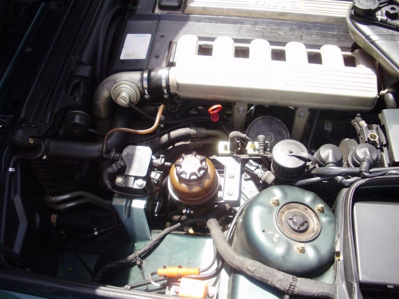 P5120174.JPG