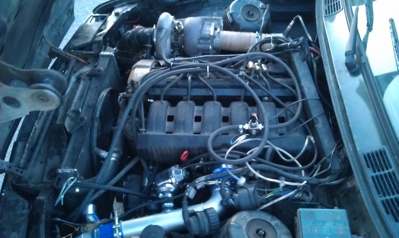 IMAG0219.jpg
