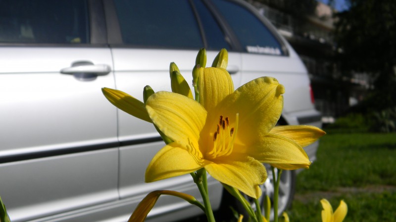 DSCN8872.JPG