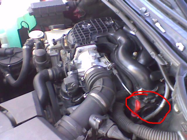 Cely motor.JPG