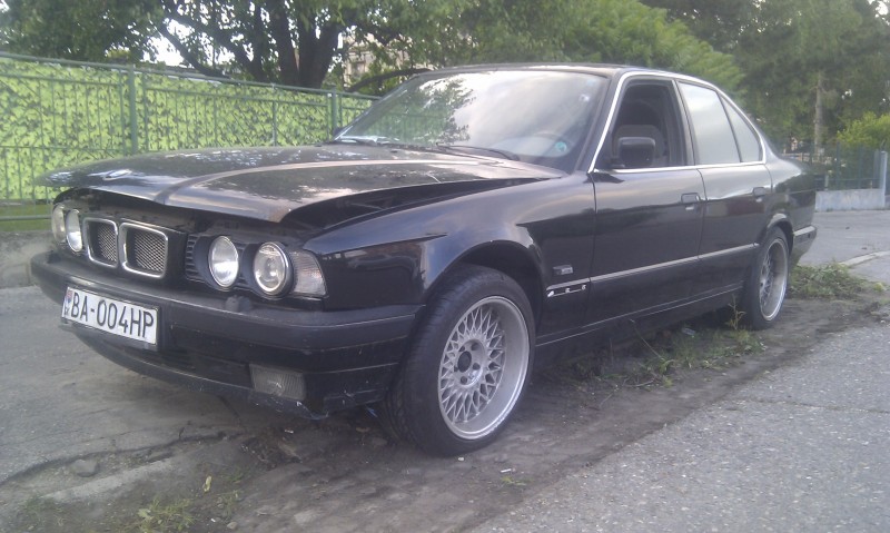 IMAG0924.jpg