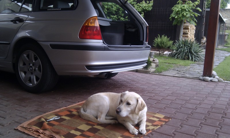 IMAG0108.jpg