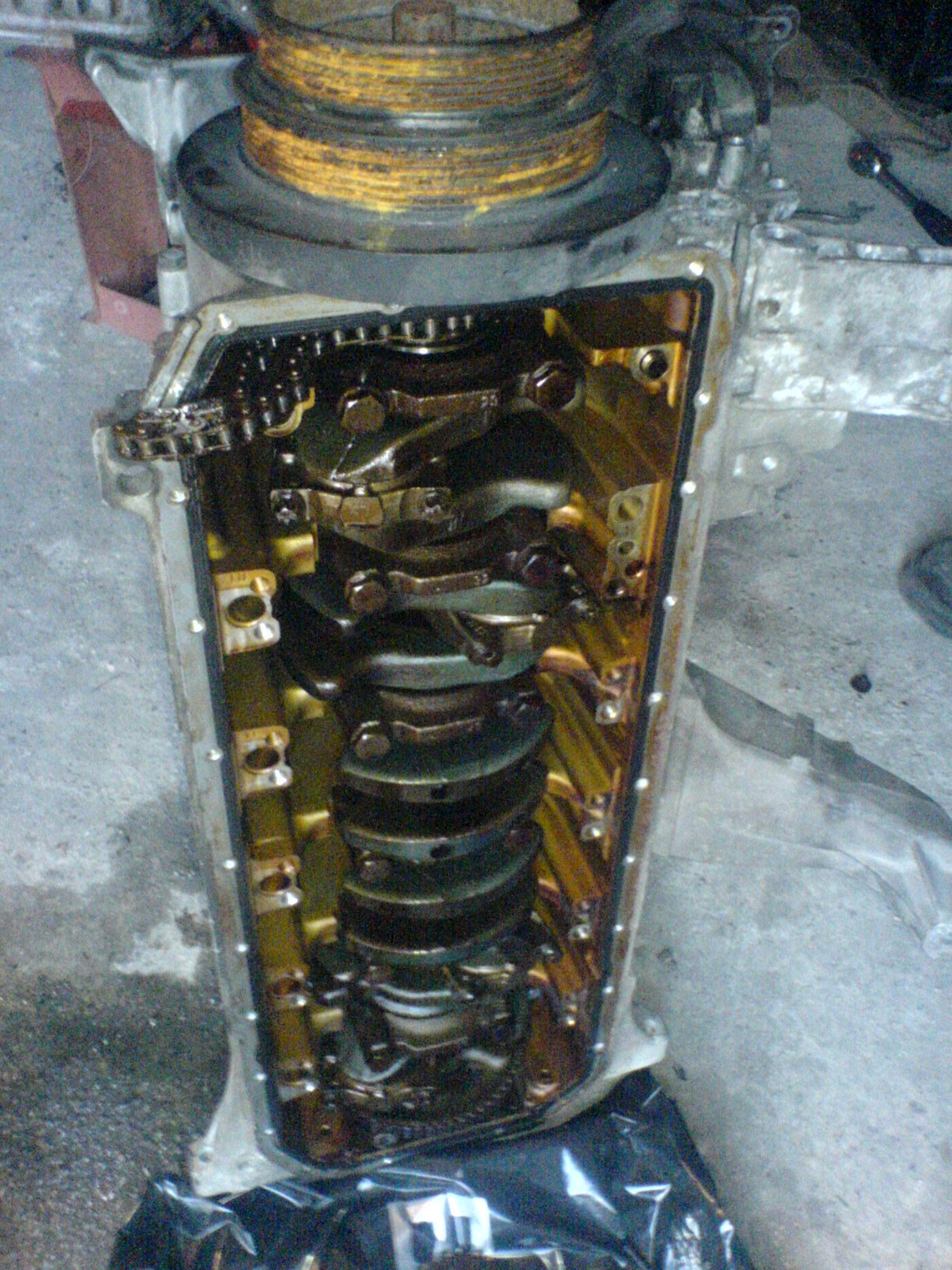 DSC08682.JPG