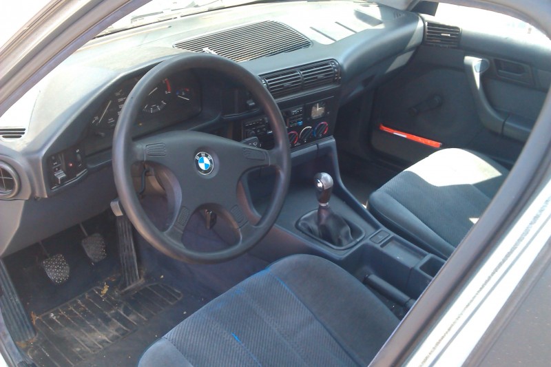 IMAG0050.jpg