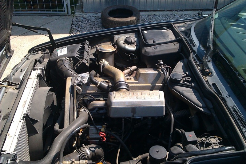 IMAG0052.jpg