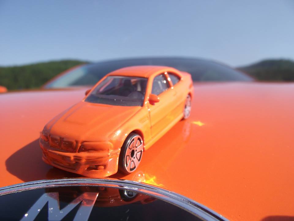 971082_586862084669208_957562002_n.jpg