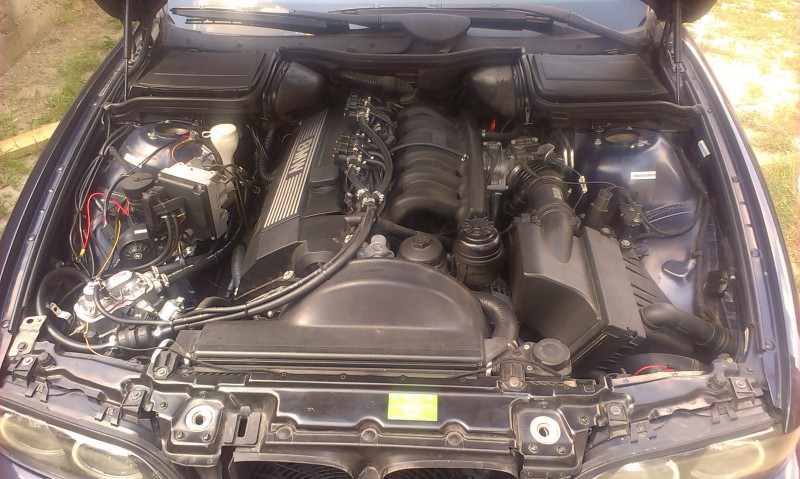 IMAG0248.jpg