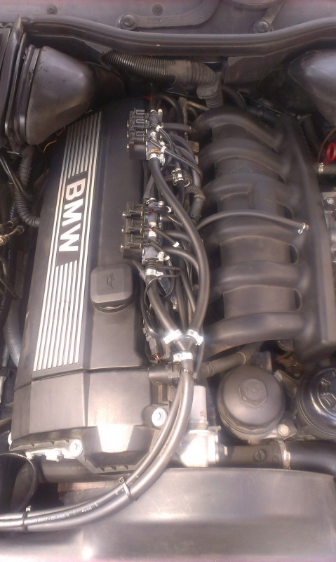 IMAG0247.jpg