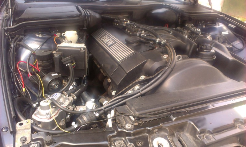 IMAG0251.jpg