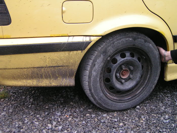PICT5459.JPG