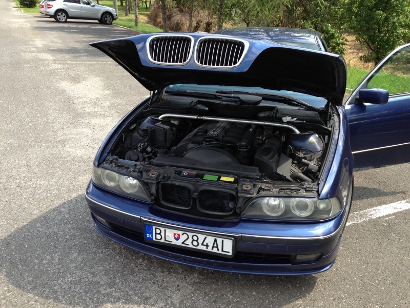 ALPINA(17).jpg