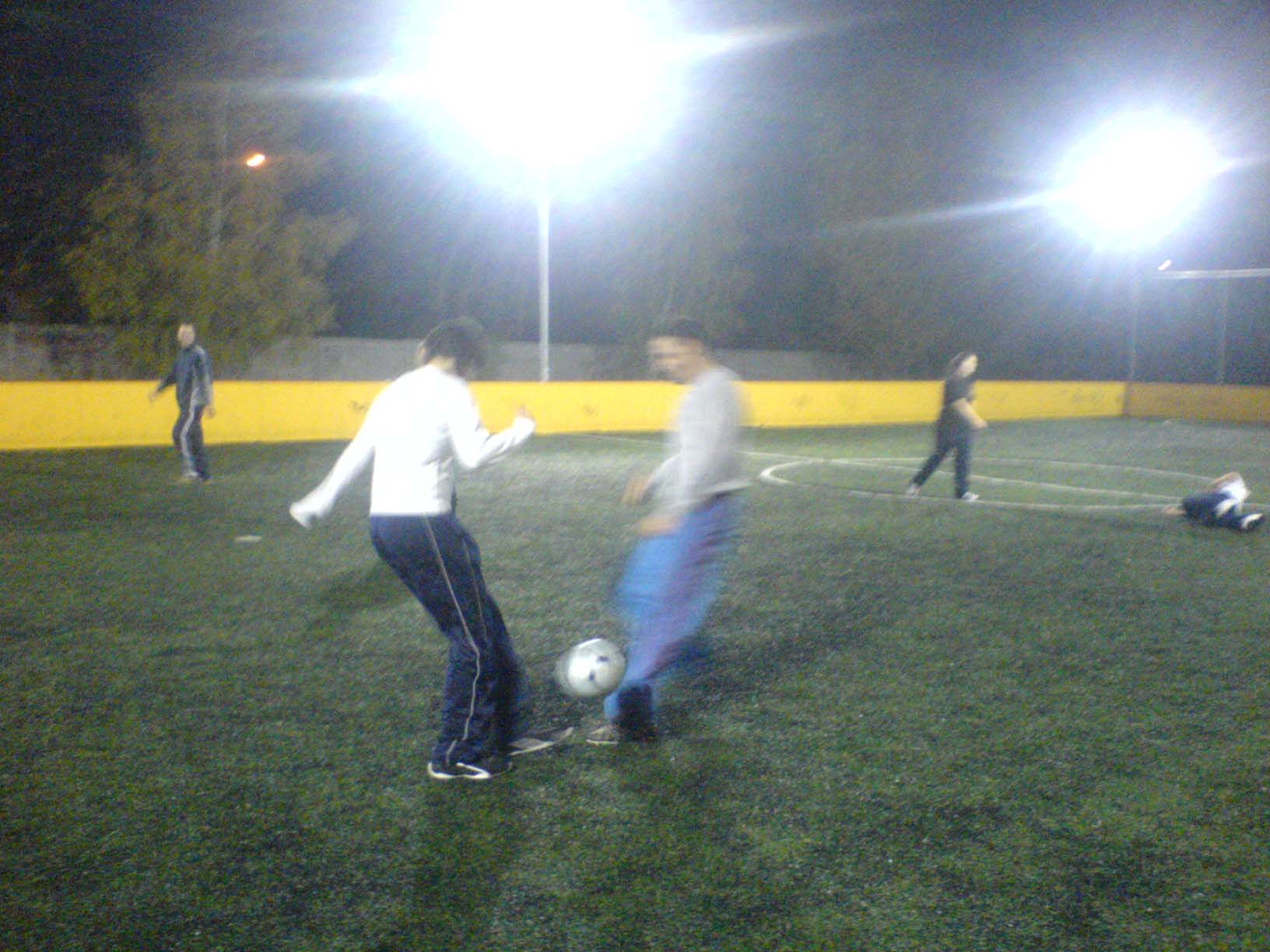 DSC00662.jpg