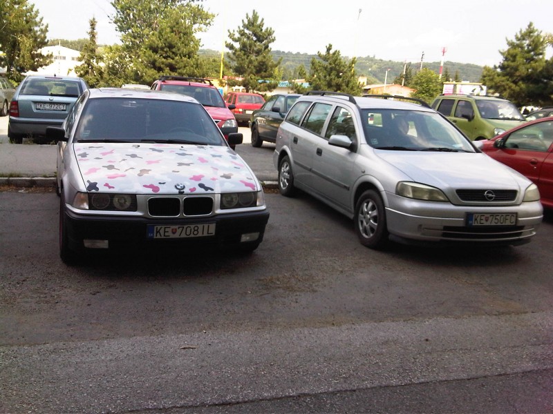 IMG-20130719-00159.jpg