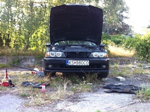 photo3.JPG