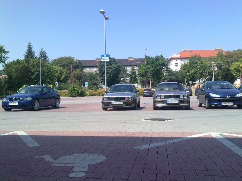 d6.jpg