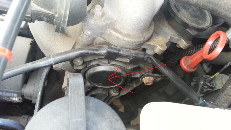 20130731_125020.jpg