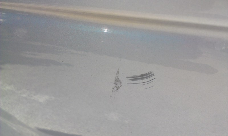 IMAG0973.jpg