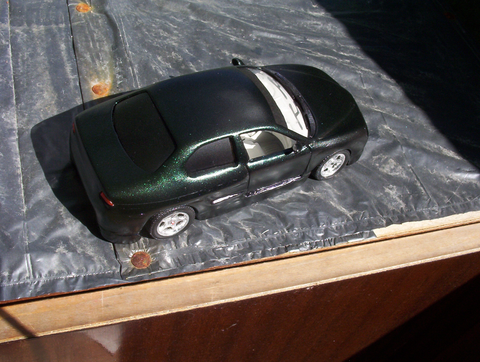 100_4161.JPG