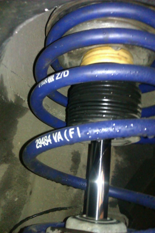 IMAG0408.jpg