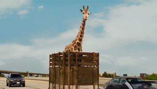 hangover3.jpg
