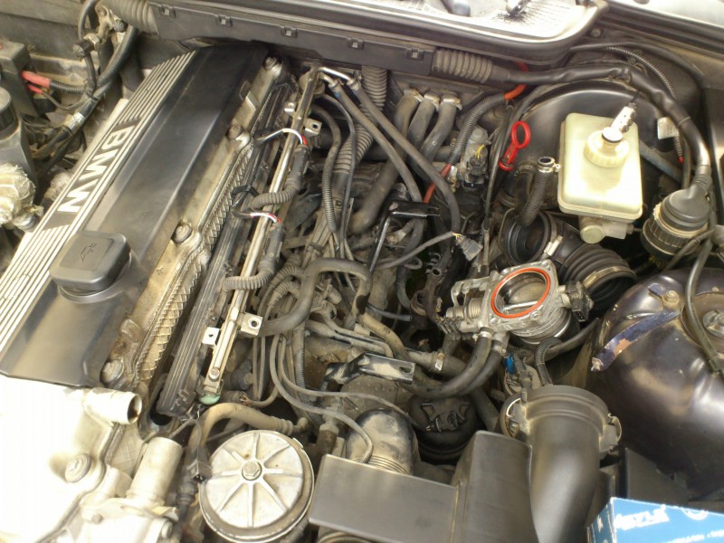 DSC_3244.JPG