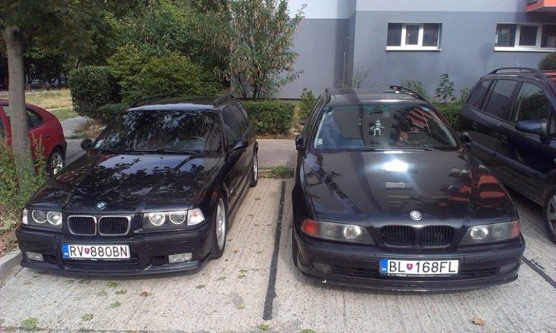 IMAG0595.jpg