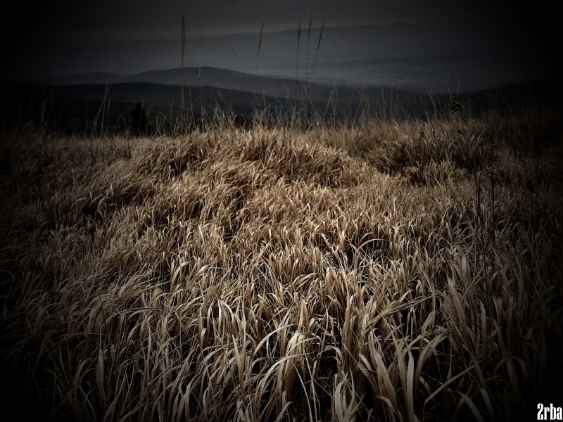 PA150432.JPG