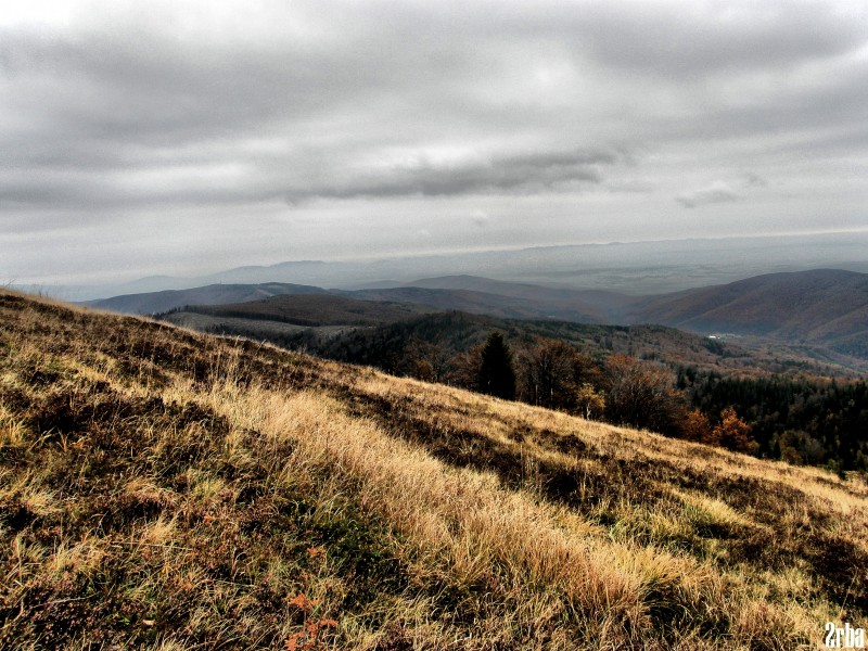 PA150442.JPG