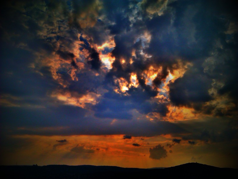 IMAG0237.jpg